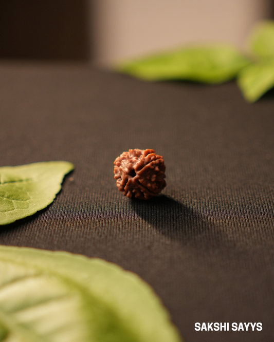 4 MUKHI RUDRAKSHA