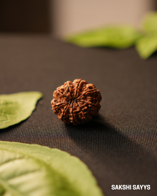 9 MUKHI RUDRAKSHA