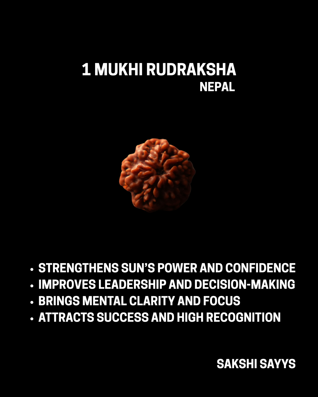 1 MUKHI RUDRAKSHA NEPAL (UNDERDEVELOPED)