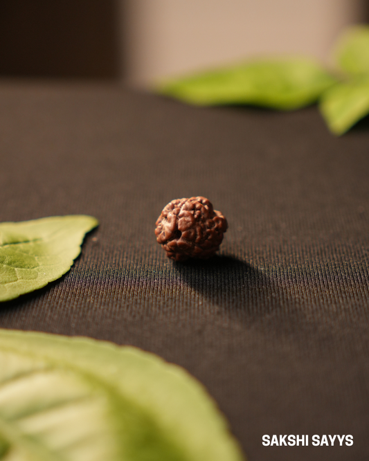 3 MUKHI RUDRAKSHA