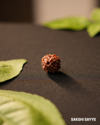 4 MUKHI RUDRAKSHA