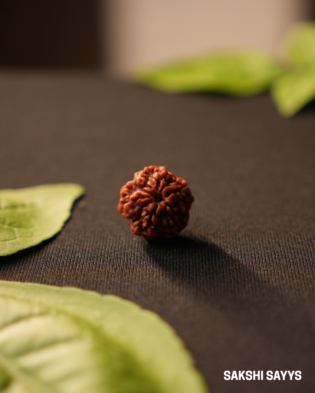 1 MUKHI RUDRAKSHA NEPAL (UNDERDEVELOPED)