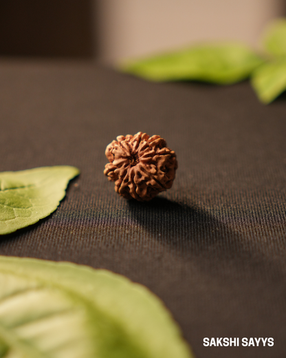 8 MUKHI RUDRAKSHA