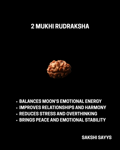 2 MUKHI RUDRAKSHA