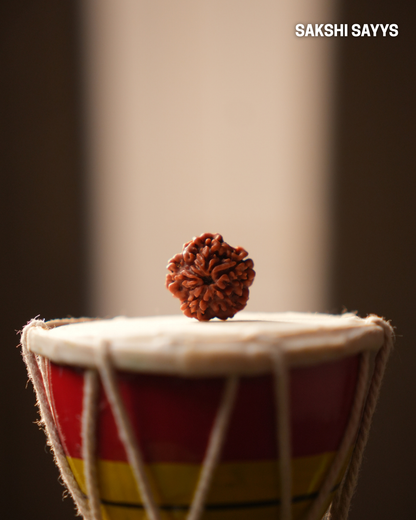 1 MUKHI RUDRAKSHA NEPAL (UNDERDEVELOPED)