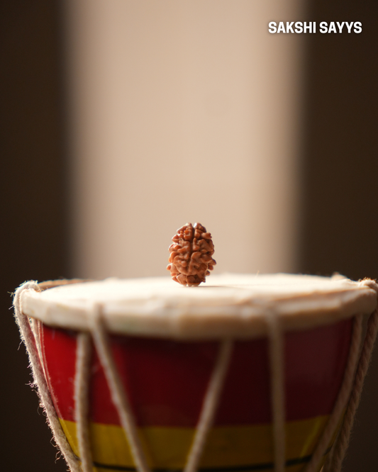 2 MUKHI RUDRAKSHA