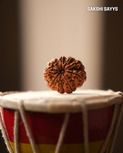9 MUKHI RUDRAKSHA