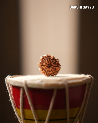 8 MUKHI RUDRAKSHA