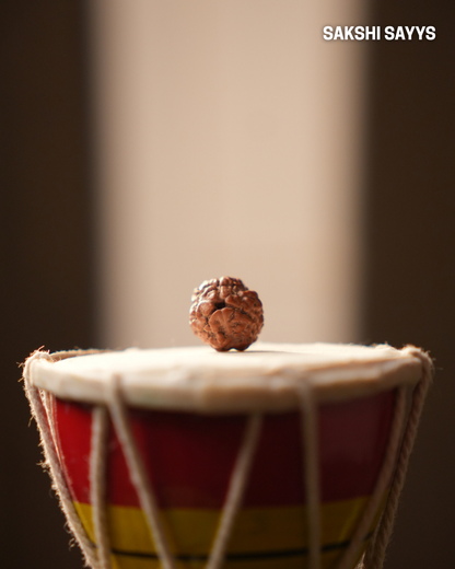 3 MUKHI RUDRAKSHA