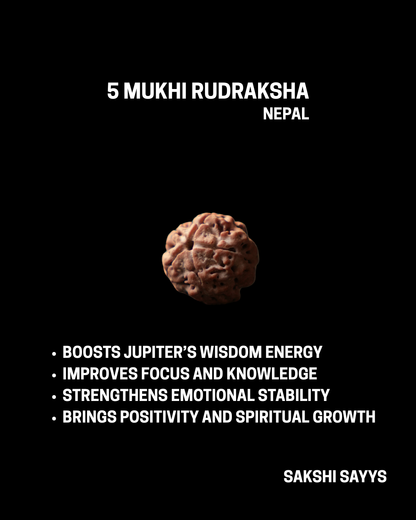 5 MUKHI RUDRAKSHA