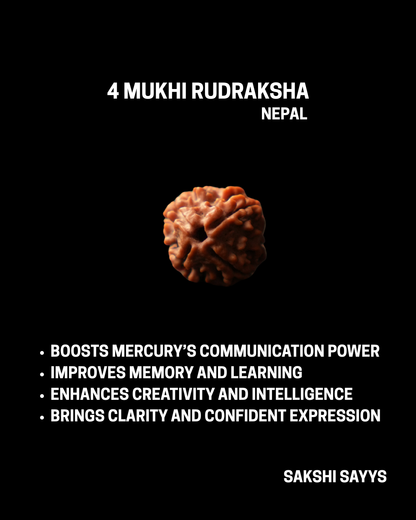 4 MUKHI RUDRAKSHA